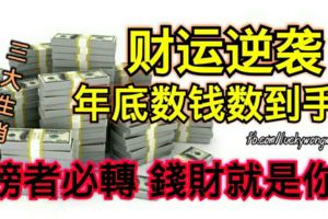 財運逆襲，年底數錢數到手軟的三大生肖，上榜者必轉錢財就是你的