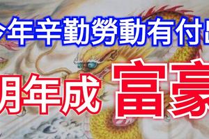 今年辛勤勞動有付出，明年成富豪的三個生肖