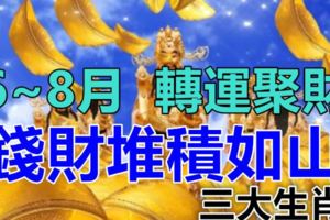 6~8月轉運聚財，錢財堆積如山的三大生肖！