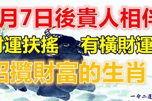 6月7日後貴人相伴財運扶搖及有橫財運招攬財富生肖！