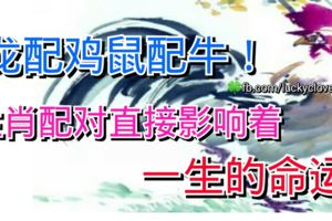 龍配雞鼠配牛!生肖配對直接影響著一生的命運!