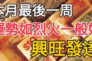 本月最後一周，運勢如烈火一般好，興旺發達的3生肖