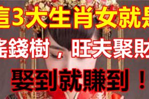 這3大生肖女就是搖錢樹，旺夫聚財能力一流！娶到就賺到！