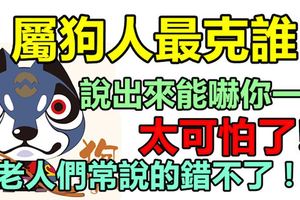 屬狗人最克誰？說出來能嚇你一跳，太可怕了，老人們常說的錯不了！准