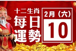 2月10號(六)12生肖運勢+指數