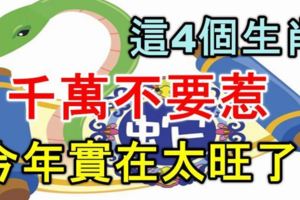 這4個生肖，千萬不要惹，因為他們今年實在太旺了！