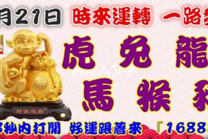 9月21日時來運轉一路發，虎兔龍馬猴豬，88秒內打開好運跟著來『16888』