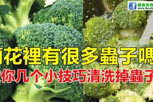 蘭花裡有很多蟲子嗎？教你幾個小技巧清洗掉蟲子！