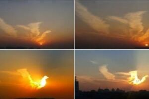 天上驚現「火鳳凰」！奇觀啊！66秒內轉出去者，六六大順，全家發大財，幸福安康