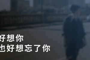 好想你，也好想忘了你