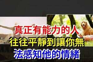 真正有能力的人，往往平靜到讓你無法感知他的情緒