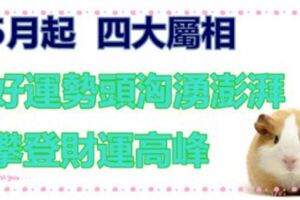 5月起好運勢頭洶湧澎湃的四屬相，有機會大發橫財，攀登財運高峰