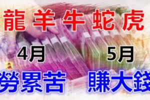 收錢收到累！四月勞累，五月賺錢賺到沒時間花的生肖~