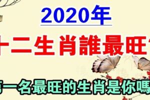 2020年十二生肖誰最旺？鼠年機遇不斷、功成名就的生肖是你嗎？