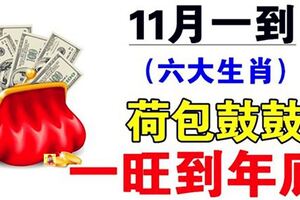 一旺到年尾！熬到11月「運勢回升」再也不缺錢的六個生肖