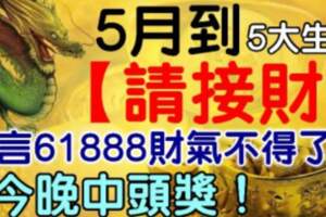 5月到，5大生肖（請接財）今晚中頭獎