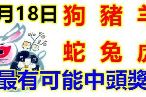 5月18日生肖運勢_狗、豬、羊大吉