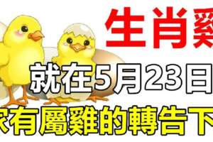 就在5月23日，家有屬雞的轉告下