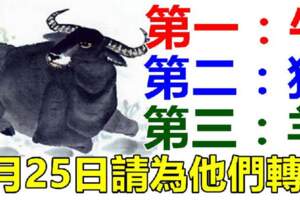 屬牛，狗，羊的人，5月25日請為他們轉走