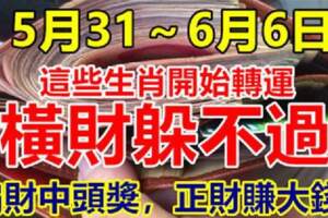 5月31日～6月6日開始轉運，橫財躲不過的生肖