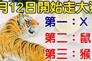 6月12日開始走大運的生肖