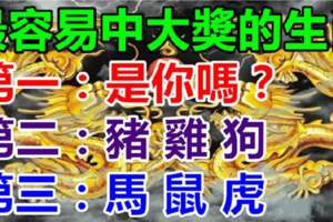 8月最容易中大獎的生肖