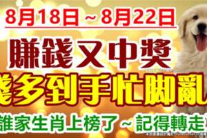 8月18日～8月22日賺錢又中獎，錢多到手忙腳亂的生肖