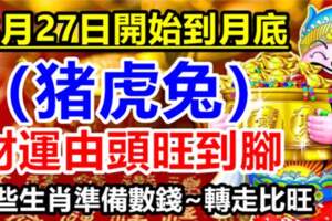 8月27日開始到月底（豬虎兔）財運由頭旺到腳