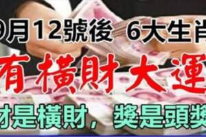 9月12號後有橫財大運的生肖