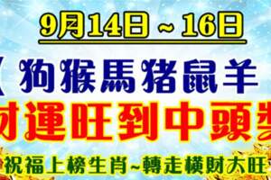 9月14日～16日（狗猴馬豬鼠羊）運旺到中頭獎