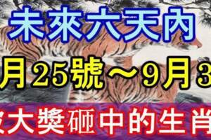 未來六天內（9月25號～9月30號）被大獎砸中的生肖