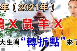 明年（2021年）雞、X、鼠、羊、X，財運（轉折點）來了