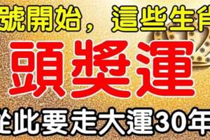 12月10號開始運勢好到不得了，從此要走大運30年的生肖