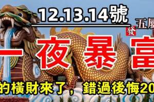 12月12.13.14號運勢旺必暴富，錯過後悔20年的屬相