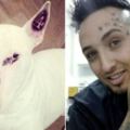 瘋狂刺青師「替自己家狗狗刺了5個刺青」還號稱能幫牠防癌，網友看了都爆氣把他罵到再也不能做人！