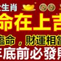 這三大生肖命在上吉，橫財臨命，財運相當不錯，年底前必發財！