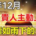 誰屬這3個生肖，今年12月貴人主動上門，鈔票如雨下！