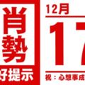 生肖運勢，天天好提示（12月17日）