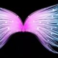 心理測試：憑直覺選一雙仙女翅膀，測你有什麼過人的天分？