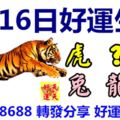 3月16日好運生肖，春光輝映滿堂春！【虎+？+豬+兔+龍+馬】『98688轉發分享好運自來』