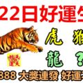 4月22日好運生肖，龍騰虎躍接福氣！【虎+猴+？+龍+？+豬】『52888大獎連發好運不停！』