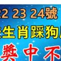 4月222324號，這些生肖踩狗屎運！橫財大發800萬