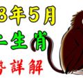 2018年5月十二生肖運勢詳解