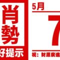 生肖運勢，天天好提示（5月7日）