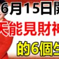 6月15日開始，這6個生肖天天能見財神爺，一定會發財！