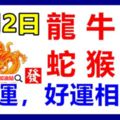 9月2日生肖運勢_龍、牛、豬大吉