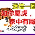 如果你不屬虎，你最愛的人屬虎，或家中有屬虎，44年才一次！迷信一回吧！