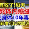 癌症有救了！每天一小杯，可殺死體內癌細胞！排出身體10年毒素！(你的轉發可以幫助許多人)