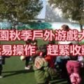 幼兒園秋季戶外游戲大全、好玩易操作，趕緊收藏！