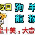 10月5日生肖運勢_狗、羊、虎大吉